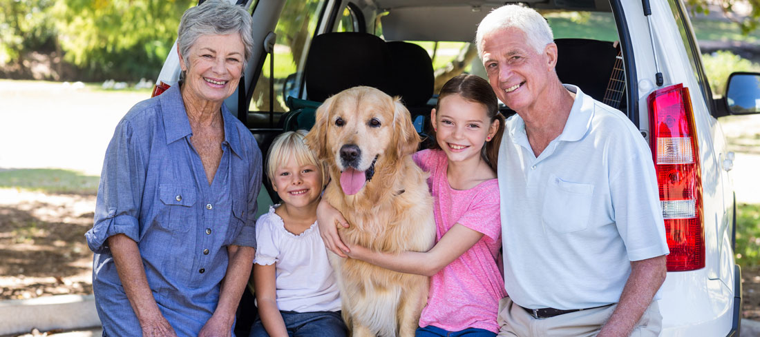 grandparents sit with their grandchildren and dog in back of a car